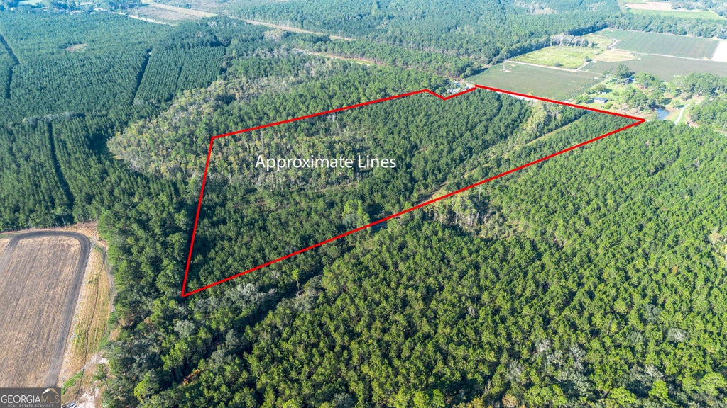 Photo of 0 US Highway 301, Claxton, GA 30417 (MLS # 10868800)