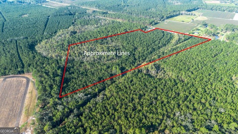 Photo of 0 US Highway 301, Claxton, GA 30417 (MLS # 10868800)