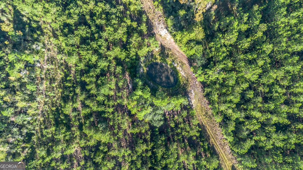 Photo of 0 US Highway 301, Claxton, GA 30417 (MLS # 10868800)