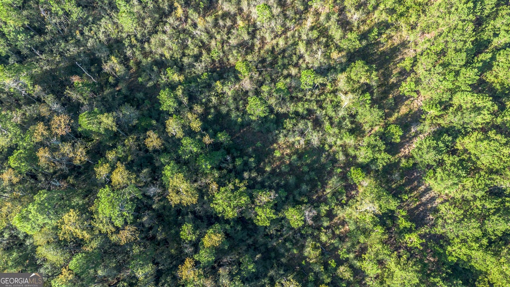Photo of 0 US Highway 301, Claxton, GA 30417 (MLS # 10868800)
