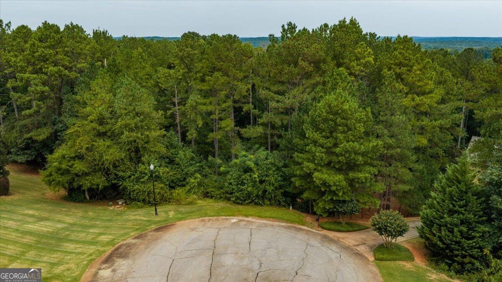 Photo of 114 Forest Overlook Drive, Forsyth, GA 31029 (MLS # 10850228)