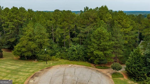 114 Forest Overlook DR Forsyth GA 31029