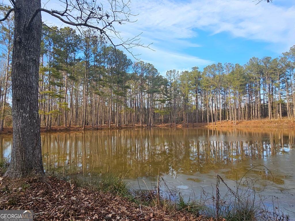 Photo of 2020 Bailey Creek Road, Covington, GA 30016 (MLS # 10687187)