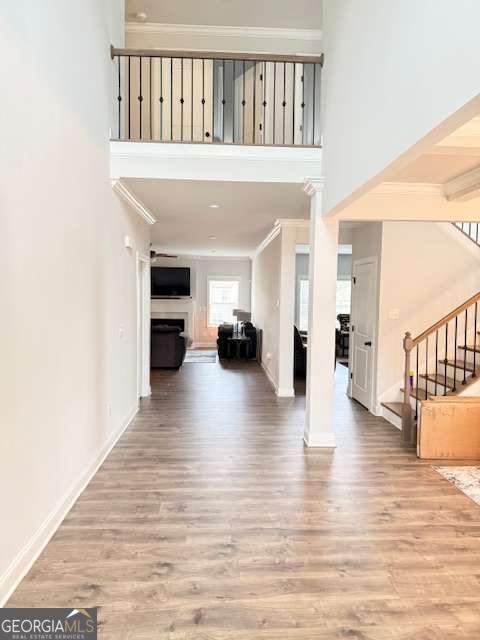 4210 Wild Country CT