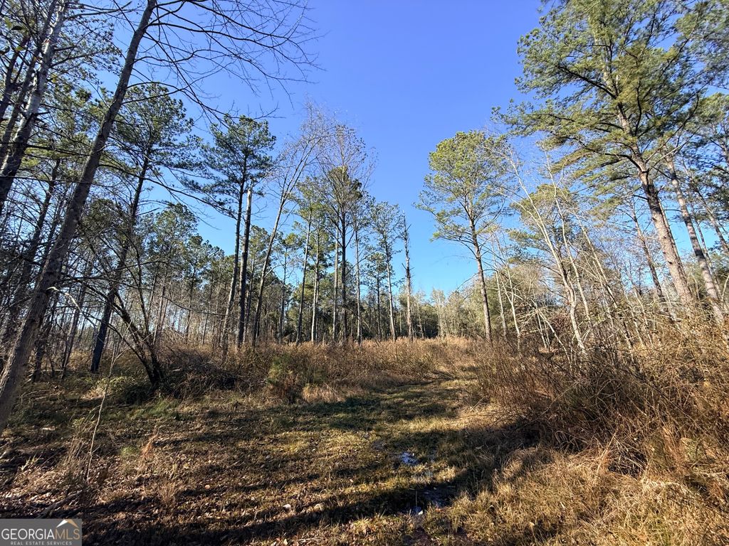 Photo of 4 Sun Hill Grange Road, Davisboro, GA 31018 (MLS # 10711936)