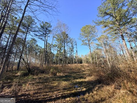 4 Sun Hill Grange RD Davisboro GA 31018