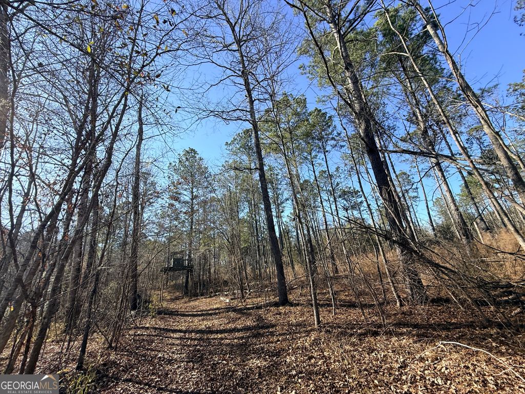 Photo of 4 Sun Hill Grange Road, Davisboro, GA 31018 (MLS # 10711936)