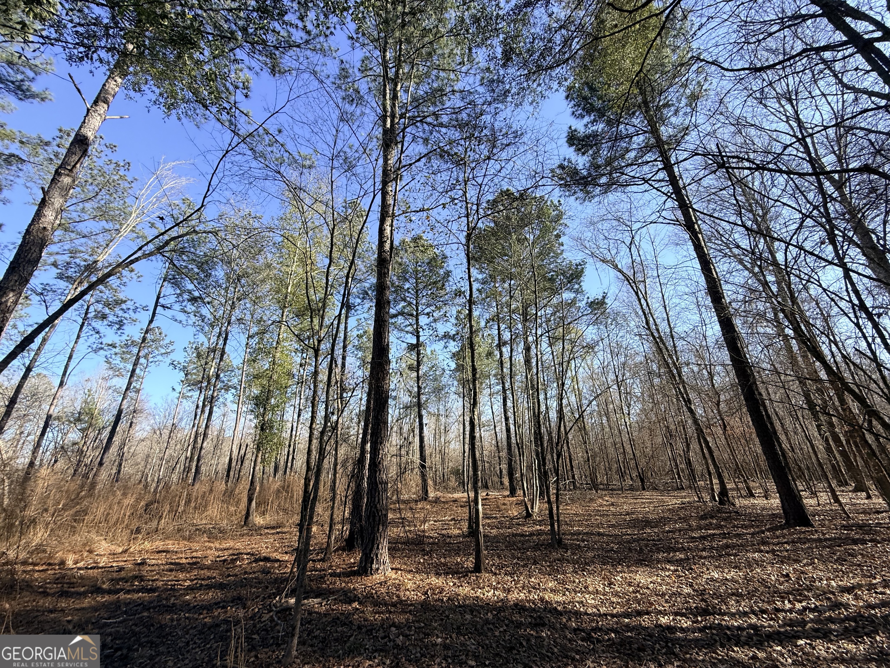 4 Sun Hill Grange RD