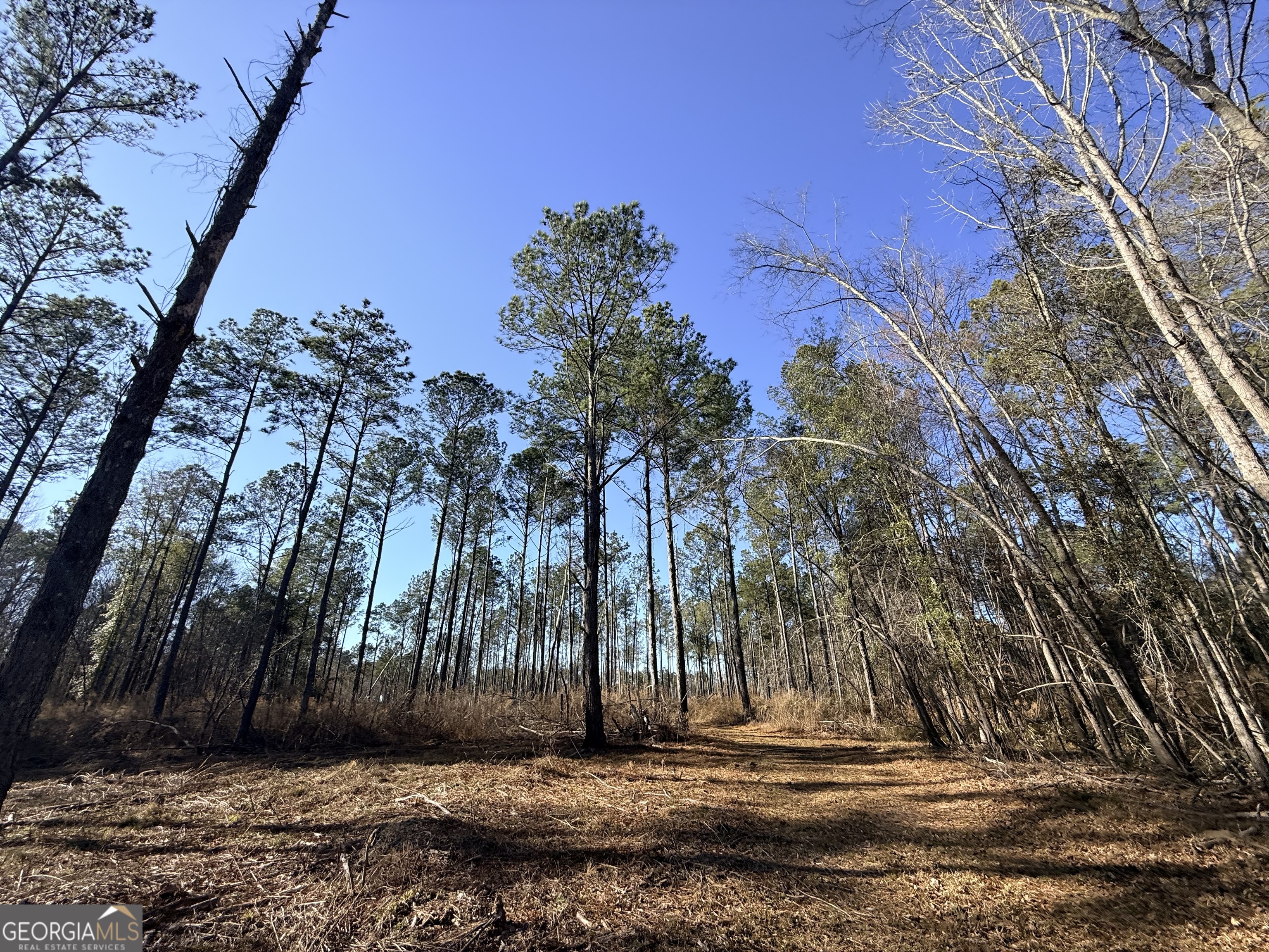 4 Sun Hill Grange RD