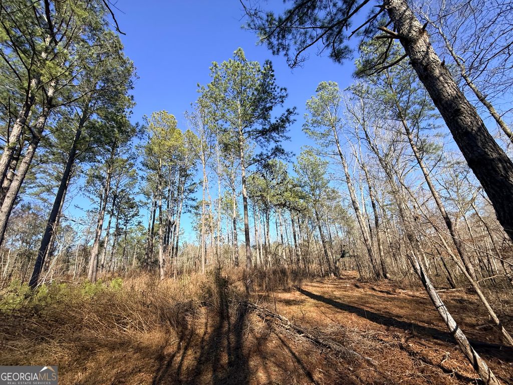 Photo of 4 Sun Hill Grange Road, Davisboro, GA 31018 (MLS # 10711936)