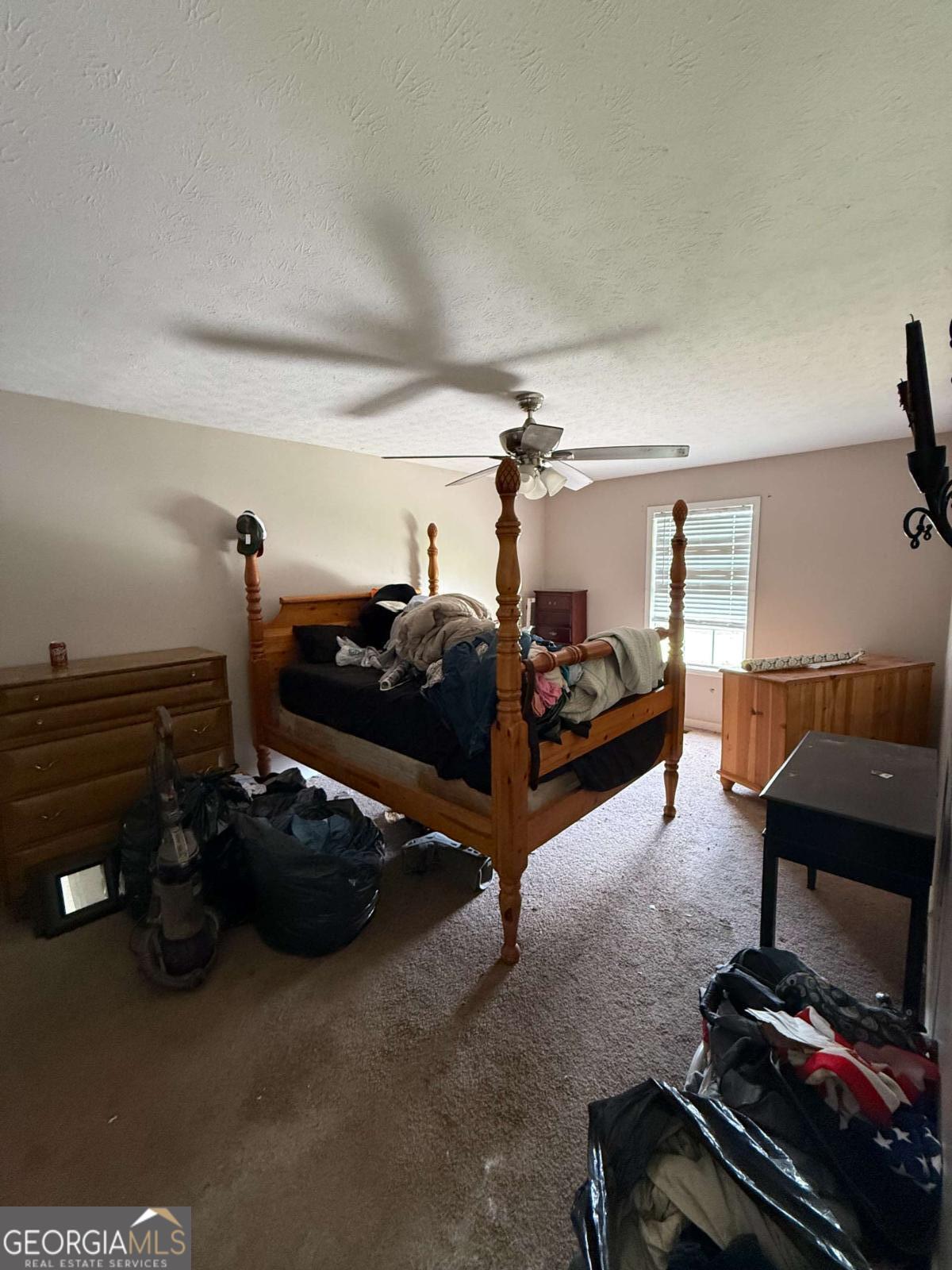 141 Scarlett Place DR