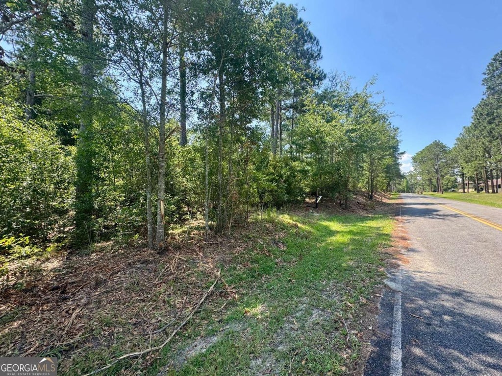 Photo of 1 Whiddon Milll Road, Poulan, GA 31781 (MLS # 10801524)