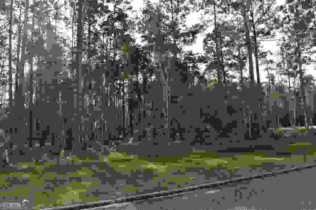 Photo of 104 Baiter Court, St. Marys, GA 31558 (MLS # 8713535)