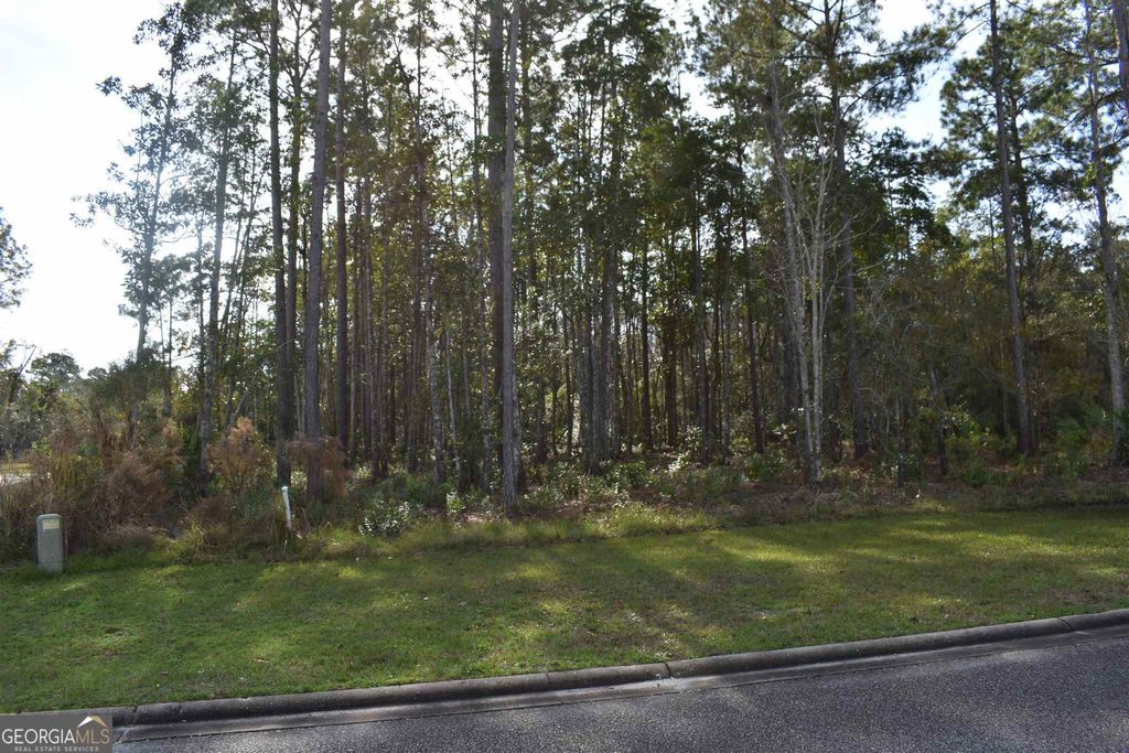 Photo of 104 Baiter Court, St. Marys, GA 31558 (MLS # 8713535)