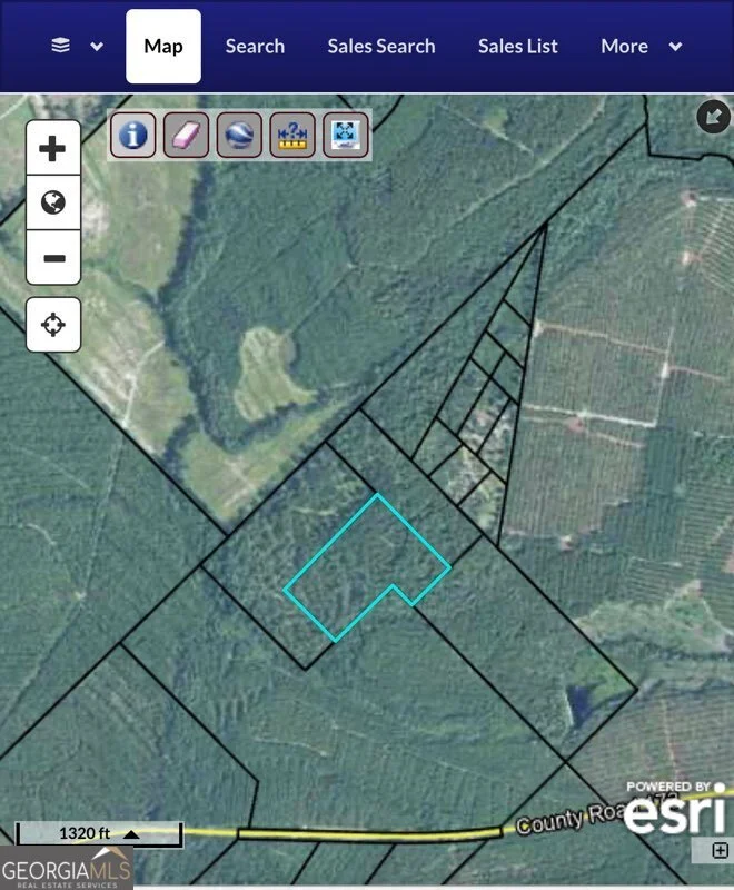 20 AC N Hope Church & Rt. 149 Ln, Alamo, GA, 30411