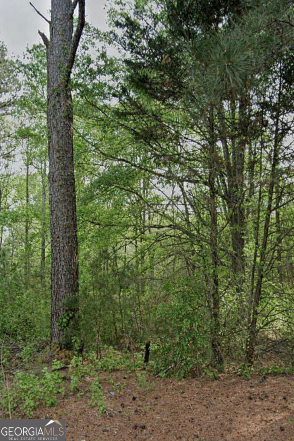 Photo of 3023 Valley View Drive SW, Powder Springs, GA 30127 (MLS # 10686275)