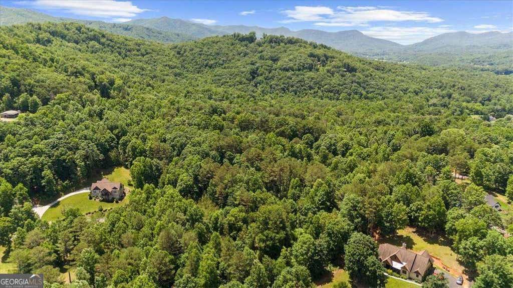 Photo of 60 Meadow Brooke Drive, Young Harris, GA 30582 (MLS # 10787964)