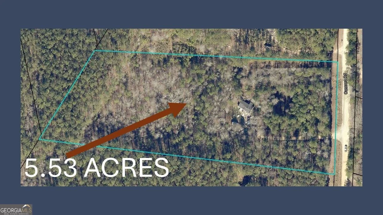 1211 Concord Road, Shady Dale, GA, 31085