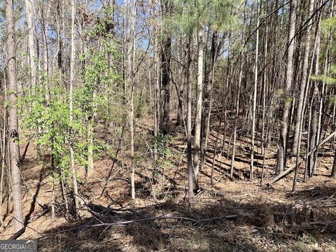 888 Melody PT Hartwell GA 30643