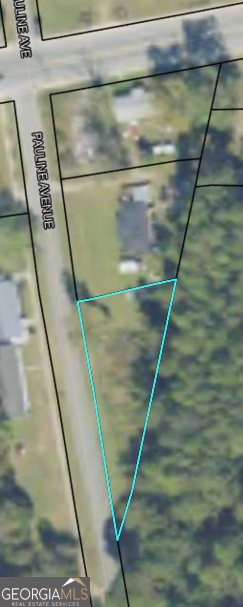 Photo of 505 Pauline Avenue, Ray City, GA 31645 (MLS # 10716301)