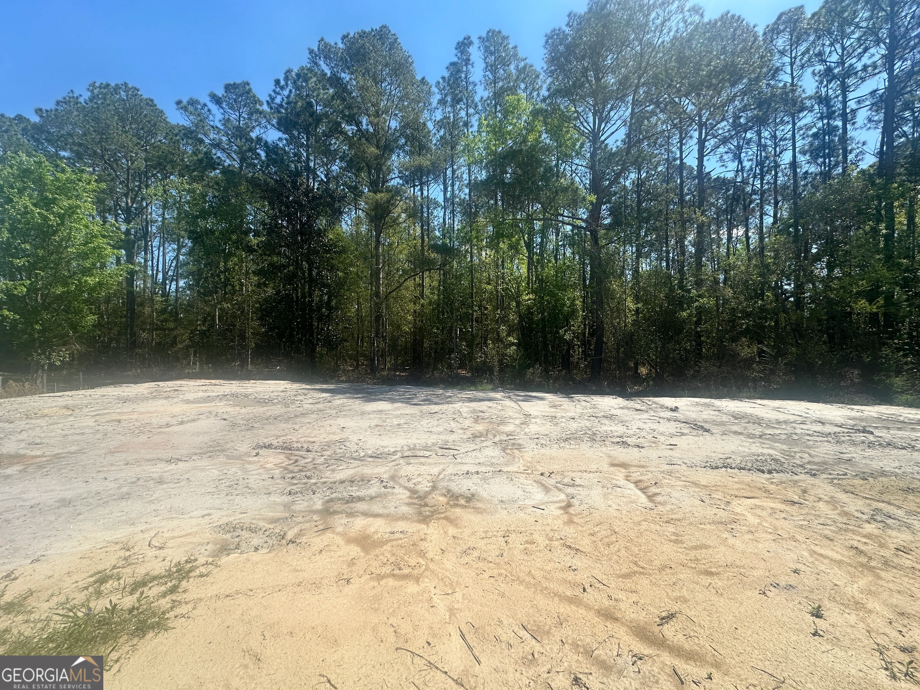 505 Pauline Avenue, Ray City, GA, 31645