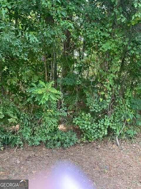 Photo of 398 Little River Drive SW, Eatonton, GA 31024 (MLS # 10849794)