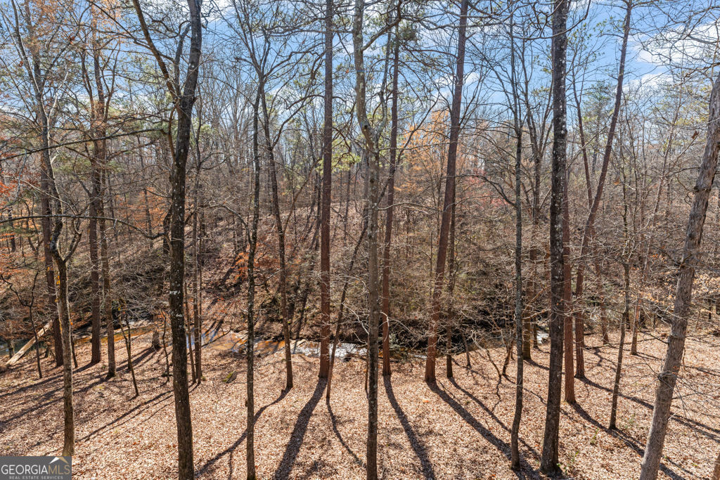 Dallas, Georgia 30157, United States, 5 Bedrooms Bedrooms, ,4 BathroomsBathrooms,Residential,Active,146490