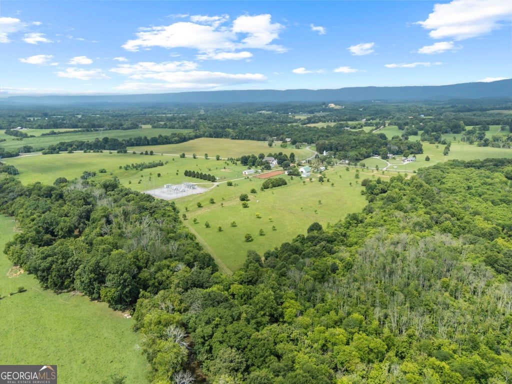 Photo of 4619 S Highway 341, Chickamauga, GA 30707 (MLS # 10805441)