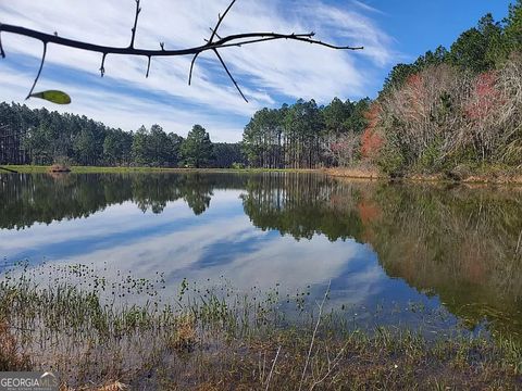 Unimproved Land in Arabi GA 351 Southern Lakes Drive.jpg