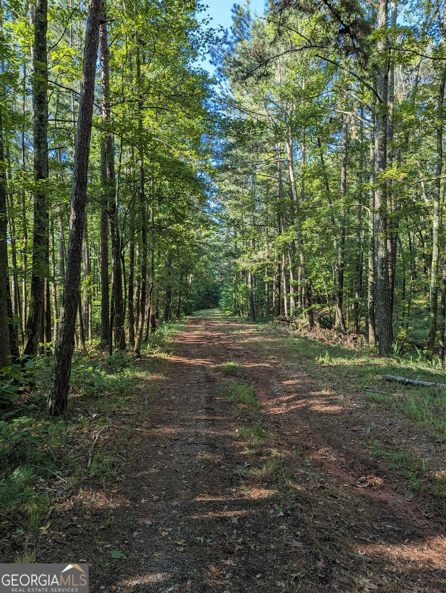 LOT 1 Joe Roberts RD