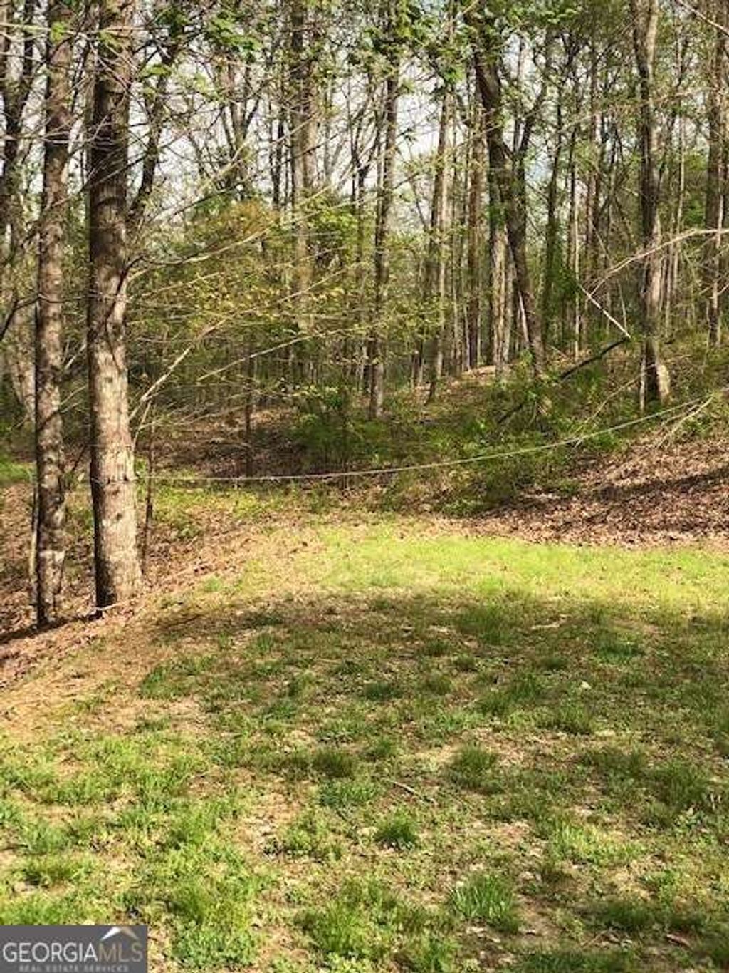 Photo of 17 Lakeland Drive, Ellijay, GA 30540 (MLS # 10710466)