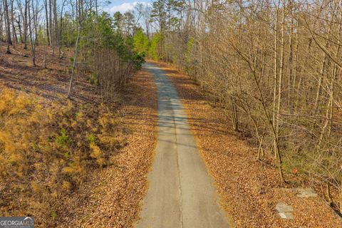 0 Planters Pointe Drive Baldwin GA 30511