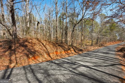 0 Pickett Bridge Rd Covington GA 30016