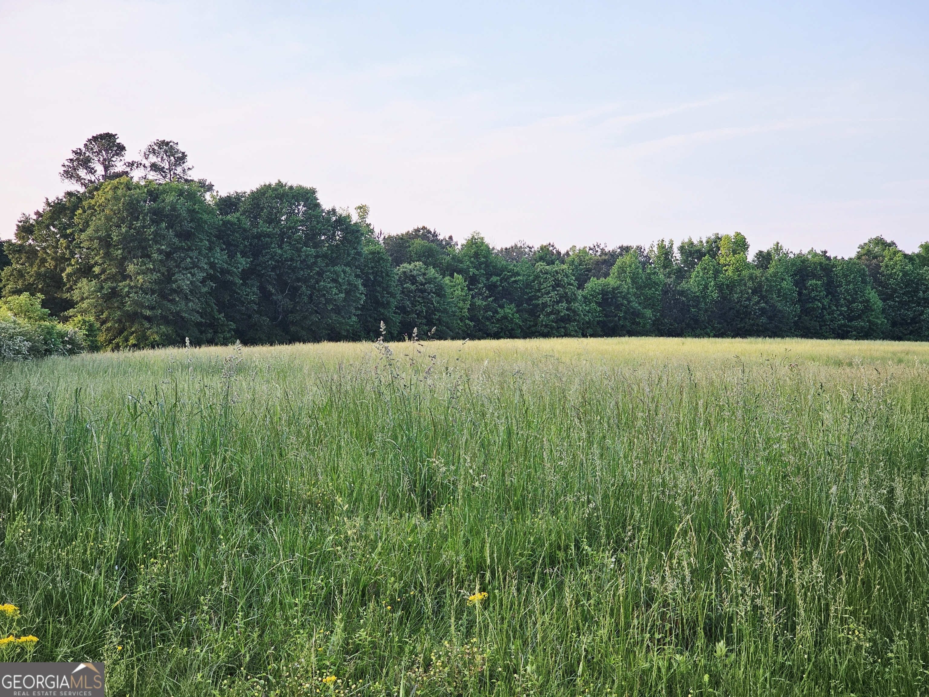 ***ESCAPE THE NOISE AND EMBRACE PURE TRANQUILITY ON THIS BEAUTIFUL 4.43 ACRE PARCEL NESTLED IN THE HEART OF NATURE. LOCATED IN THE DESIRABLE CENTRALHATCHEE SCHOOL DISTRICT IN HEARD COUNTY, THIS PROPERTY OFFERS THE PERFECT SETTING FOR YOUR DREAM HOME OR WEEKEND RETREAT. SURROUNDED BY PASTURE LAND AND NATURAL BEAUTY, YOU'LL ENJOY A QUIET PRIVATE ATMOSPHERE WITH MINIMAL TRAFFIC AND NO CITY HUSTLE JUST THE PEACEFUL SOUNDS OF NATURE AND COWS MOOING IN THE DISTANCE***