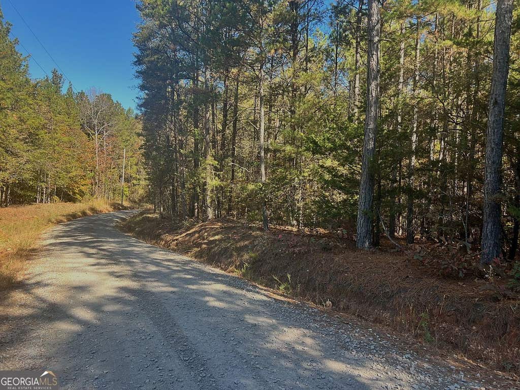 Photo of 1786 Pine Ridge Drive, Elberton, GA 30635 (MLS # 10828938)
