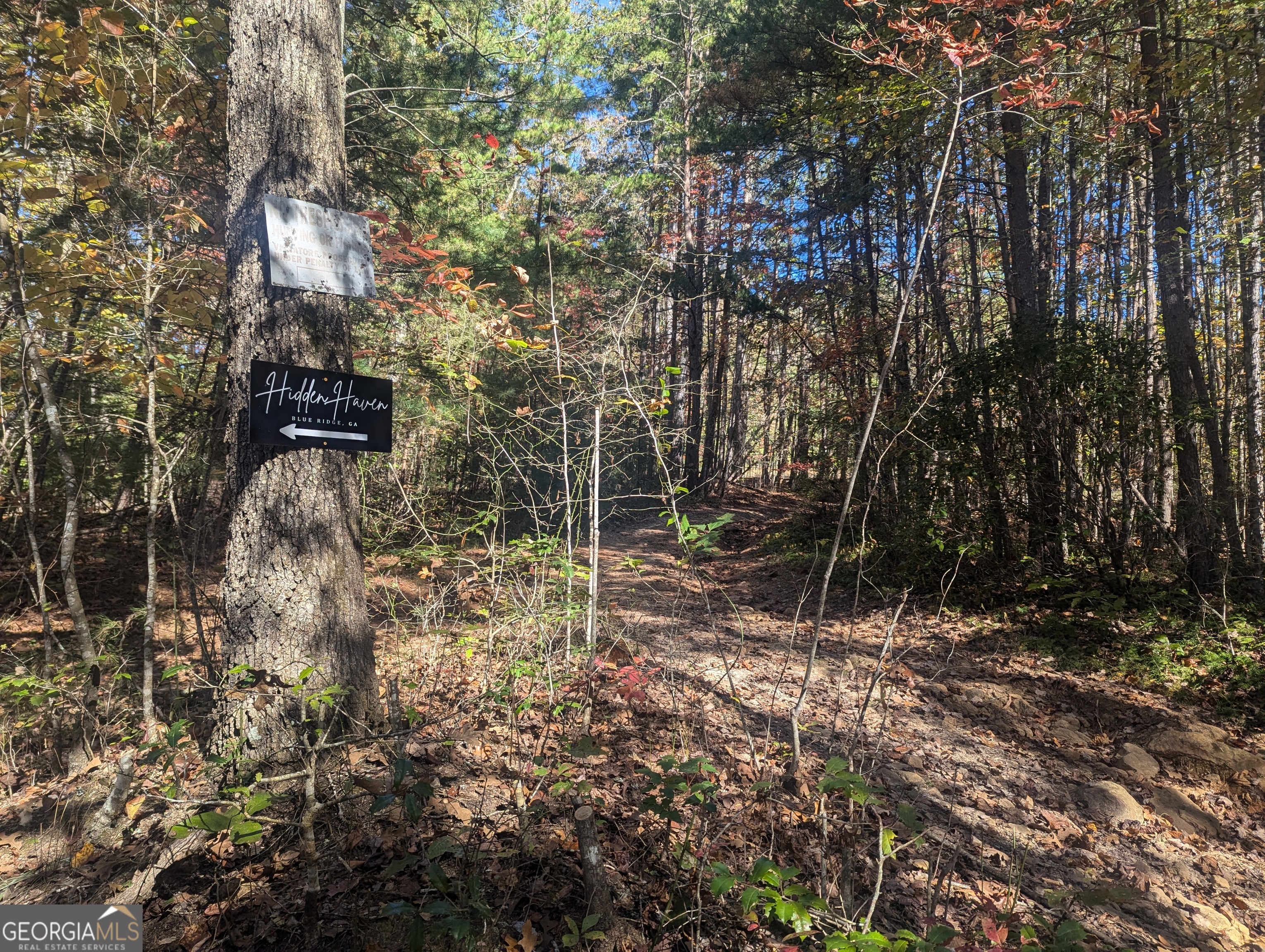 Photo 1 of 35 — 26.89 AC Shadow LN, Blue Ridge, GA 30513