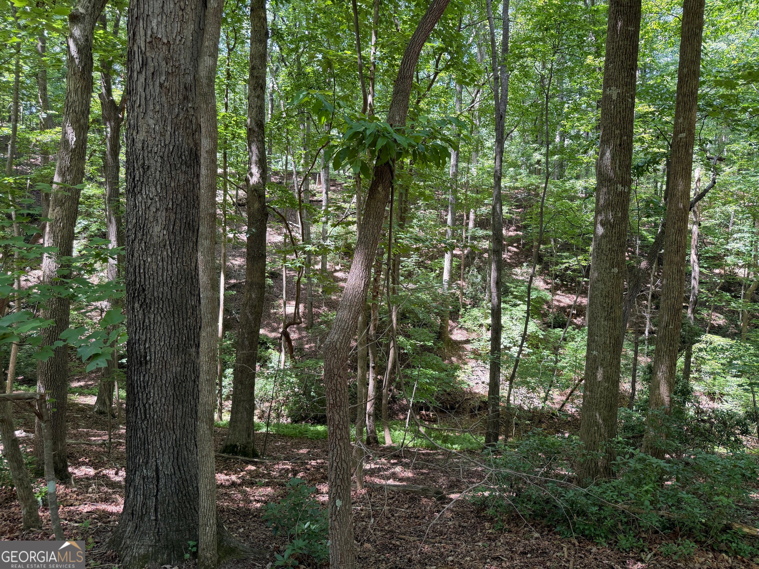 7 Ivy Hills DR