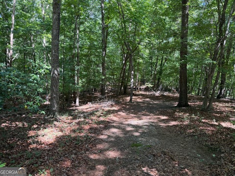 Photo of 7 Ivy Hills Drive, Cleveland, GA 30528 (MLS # 10846320)