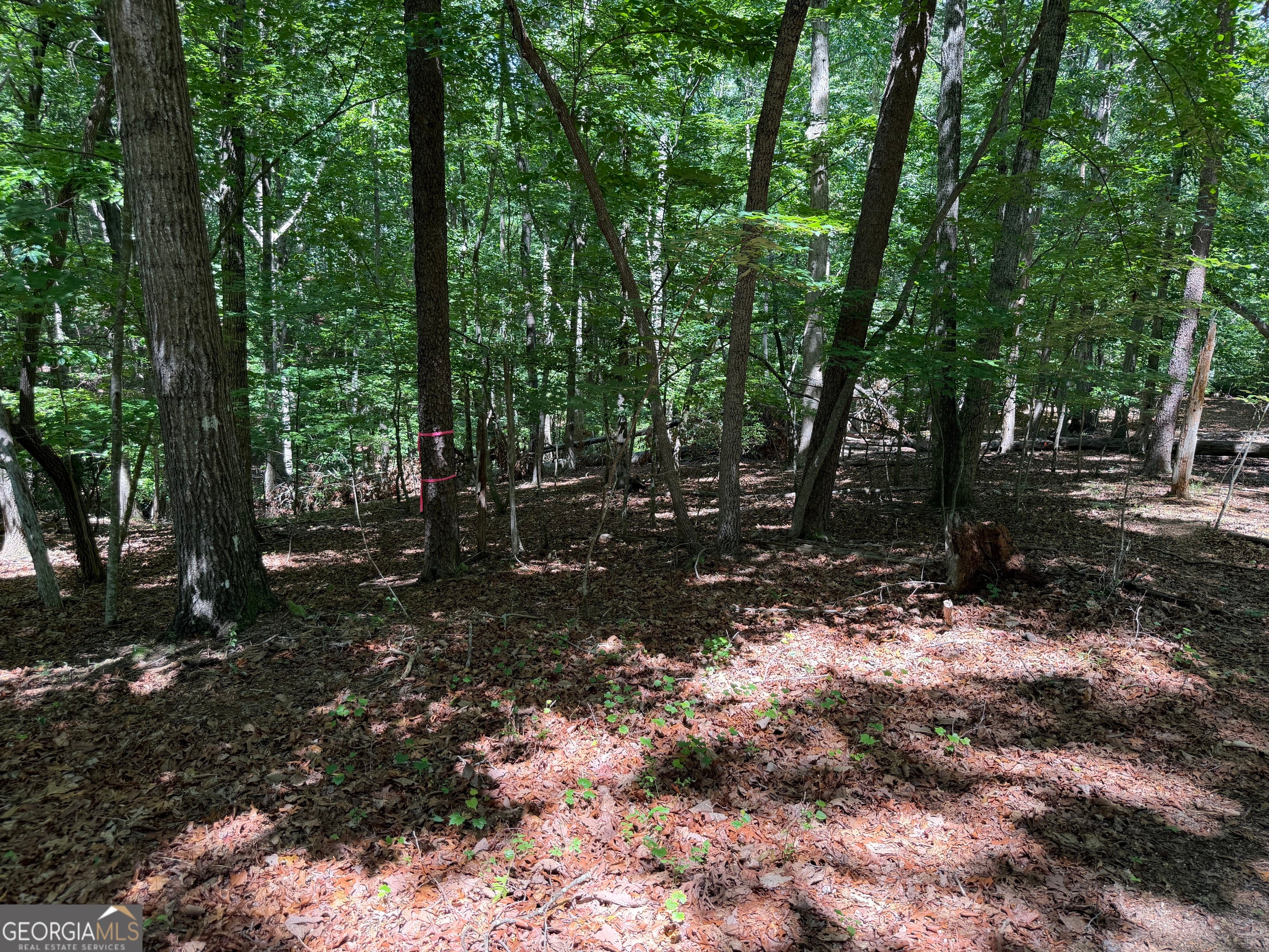 7 Ivy Hills DR