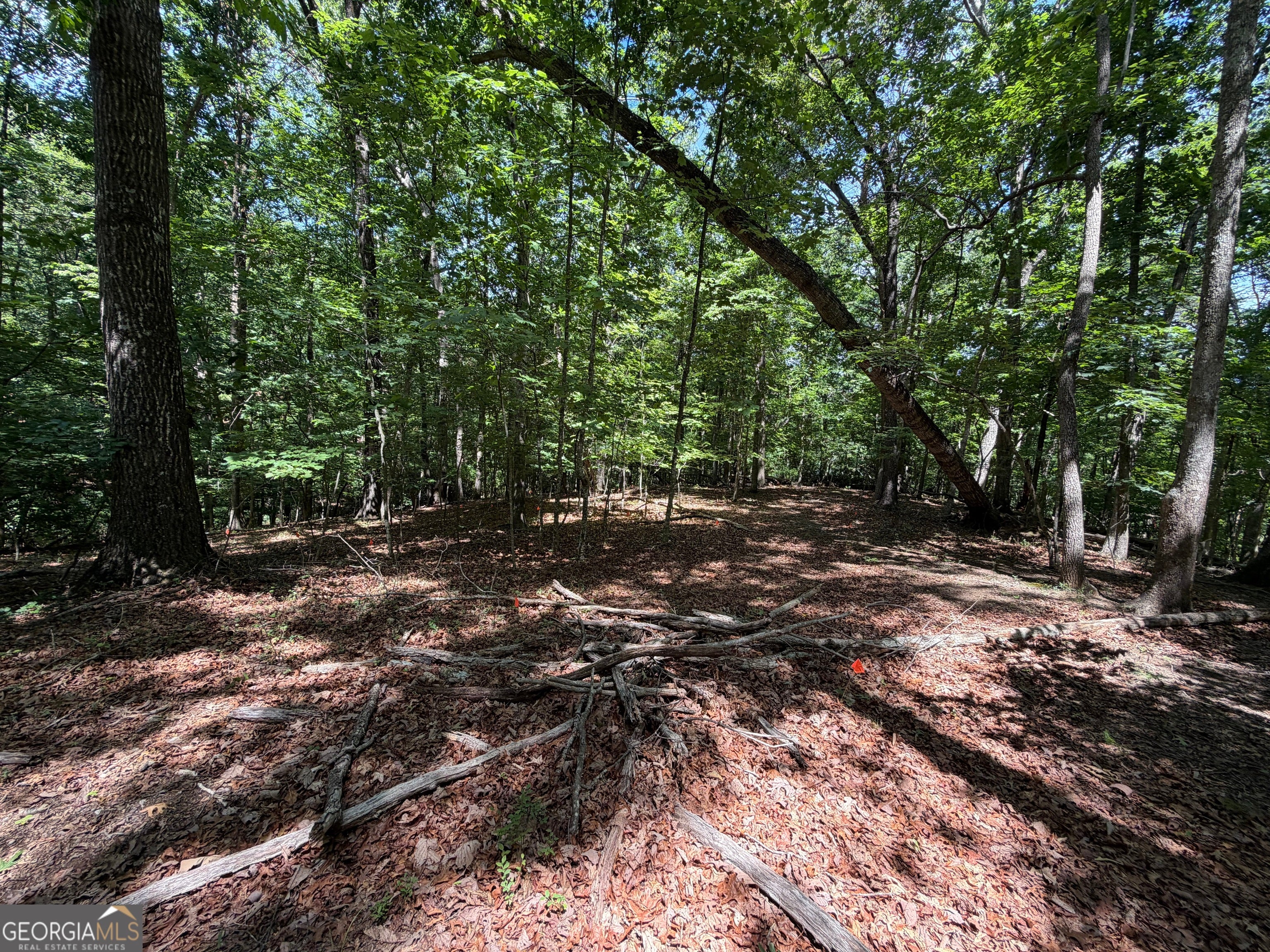7 Ivy Hills DR