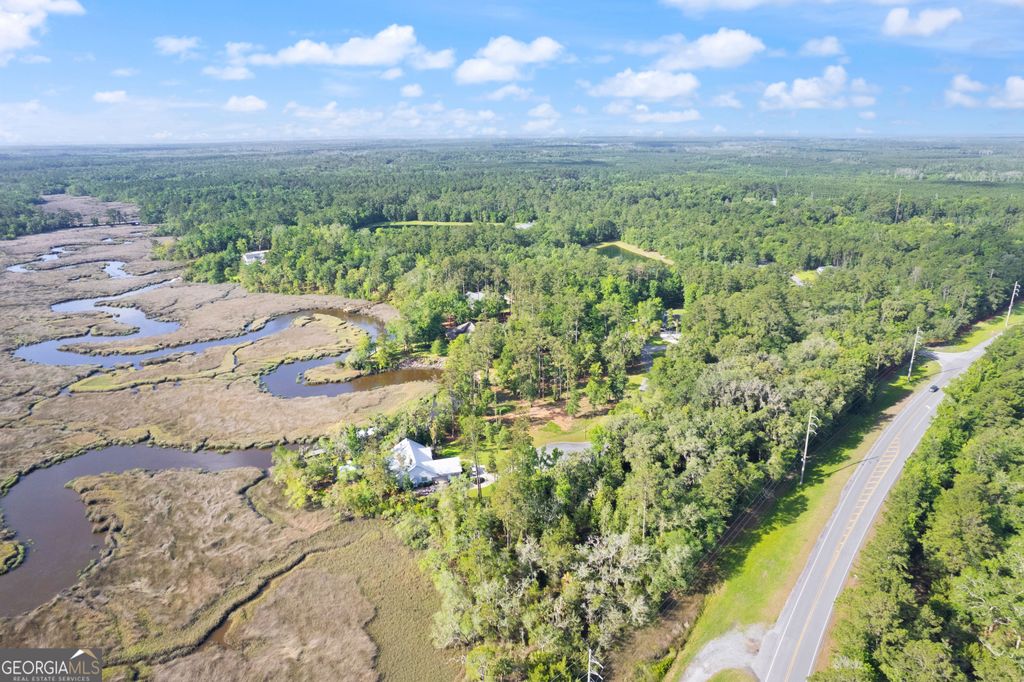Photo of 13 Timmons Drive, Waverly, GA 31565 (MLS # 10776151)