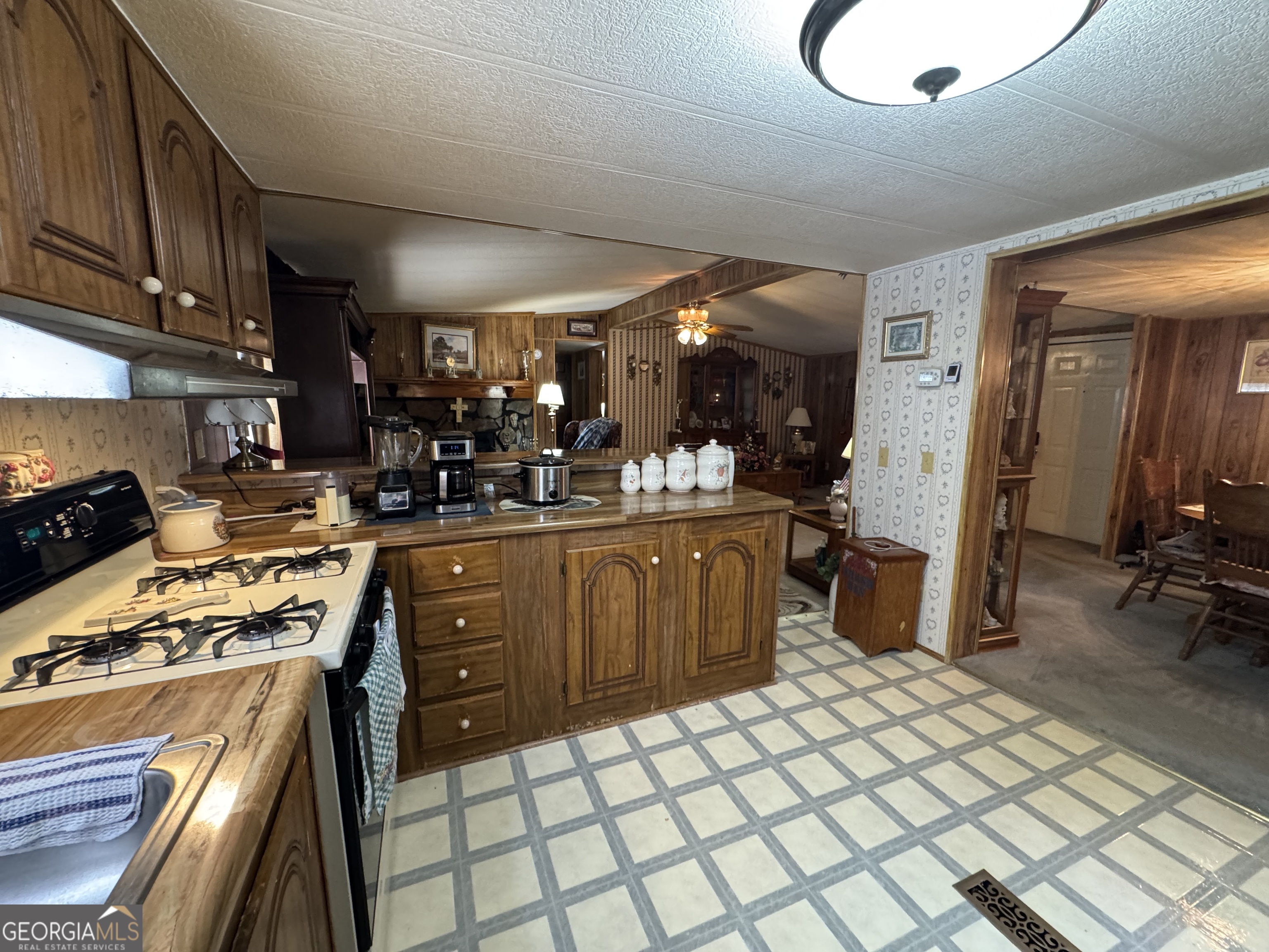 Milner, Georgia 30257, United States, 3 Bedrooms Bedrooms, ,2 BathroomsBathrooms,Residential,Active,193756