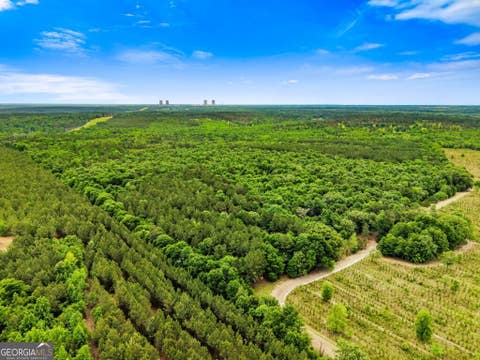 Photo of 0 River Road, Waynesboro, GA 30830 (MLS # 10767447)