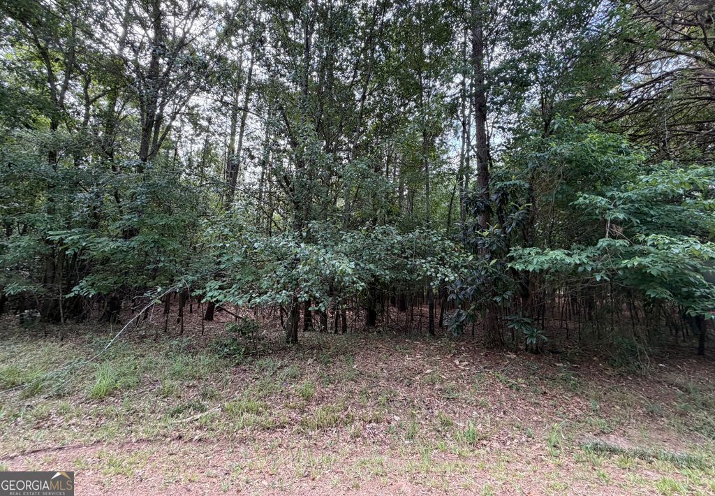 Photo of 0 Cleveland Avenue, Buckhead, GA 30625 (MLS # 10798221)