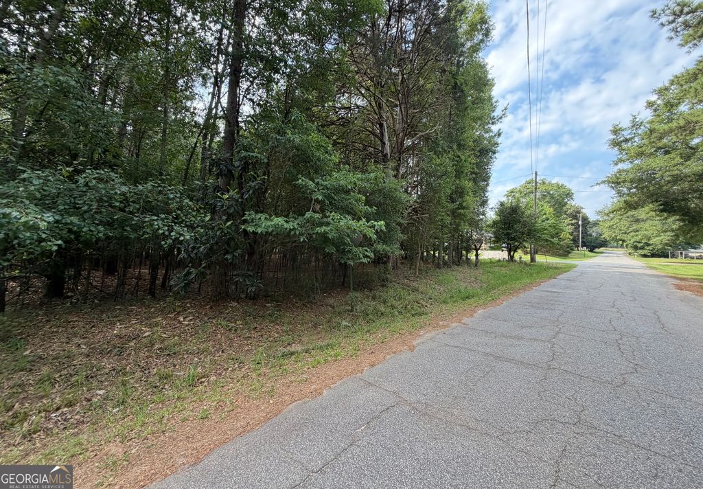 Photo of 0 Cleveland Avenue, Buckhead, GA 30625 (MLS # 10798221)