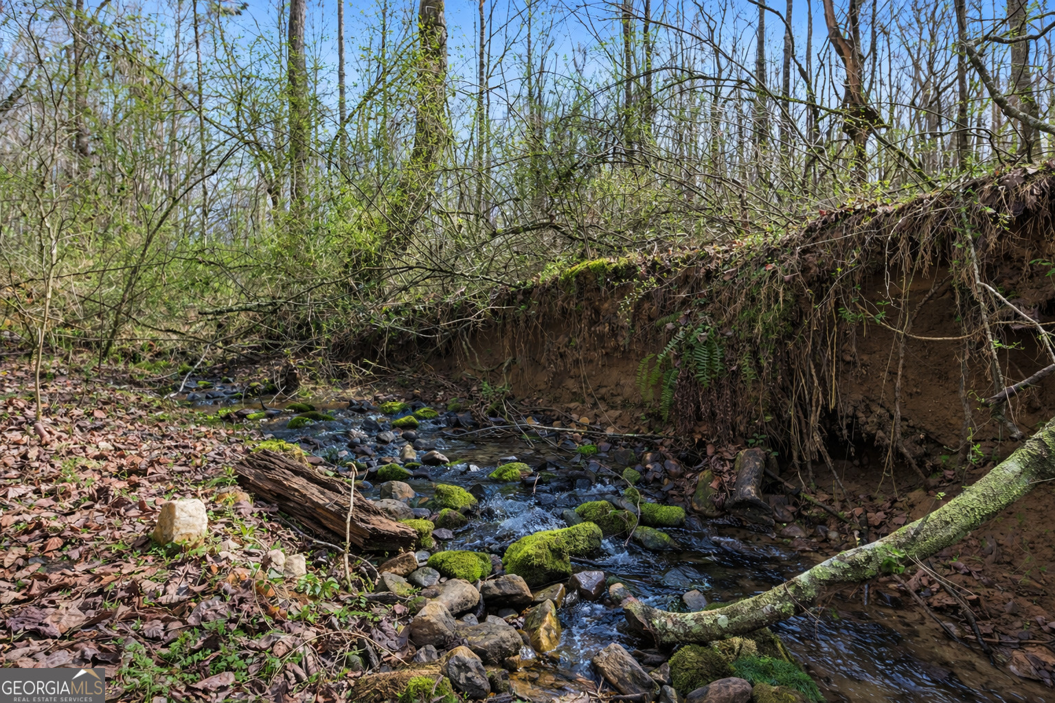 2345 Stonepile RD LOT 1