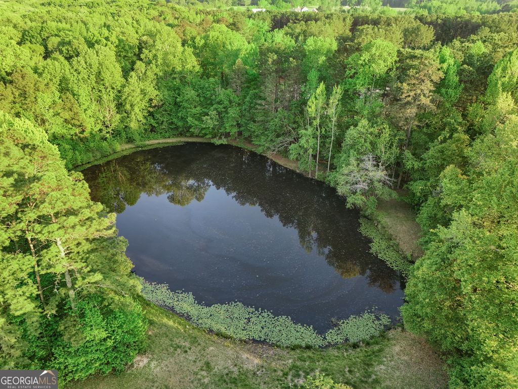 Photo of 143 Cedar Creek Road, Newnan, GA 30263 (MLS # 10739948)