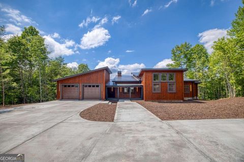 A home in Mineral Bluff