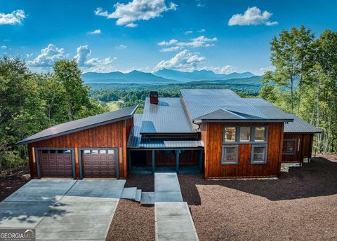 A home in Mineral Bluff