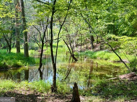 Photo of 0 N Point Peter Road, Carlton, GA 30627 (MLS # 10847086)